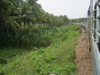 A random picture of India.